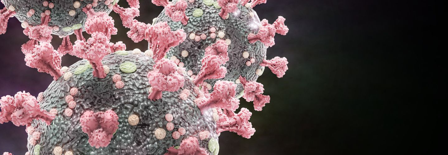 Microscopic view of the coronavirus