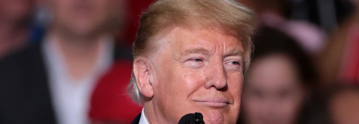 Donald Trump banner