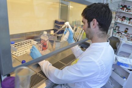 Risk of death 21% lower in people with HIV-related fungal disease given combination drug treatment