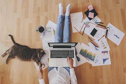 Working from home with home and personal items