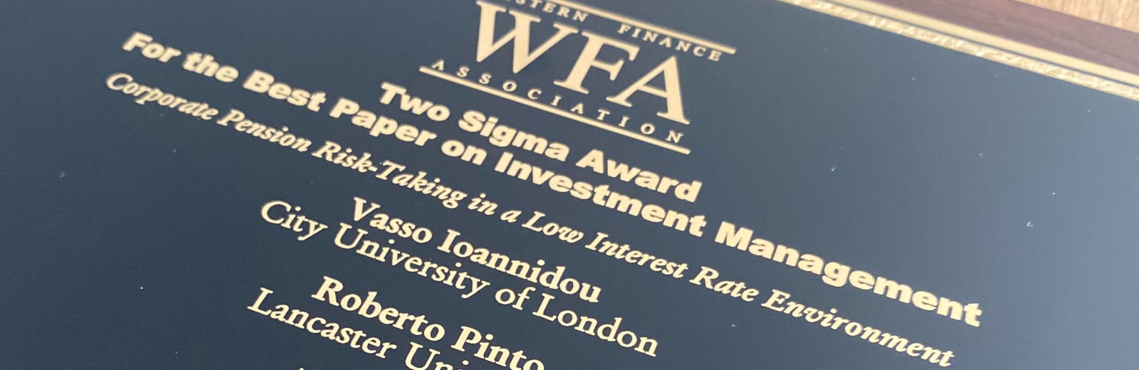 Professor Vasso Ioannidou award