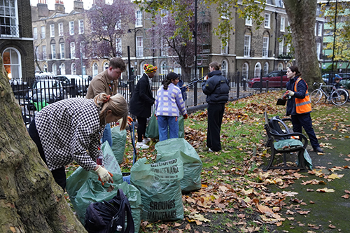 Group of people gardening in Northampton Square, collecting leaves into bags