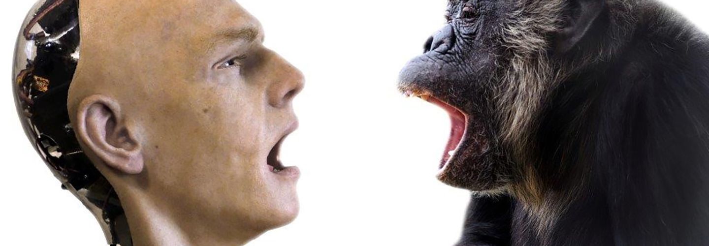 A chimp comes face to face with a human robot