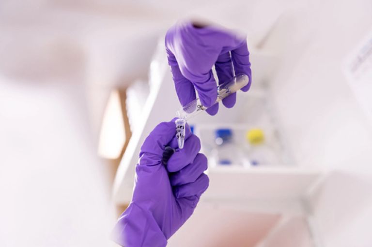 Two gloved hands hold glass vials in a laboratory setting. The purple gloves contrast with the white background, suggesting scientific research activity.