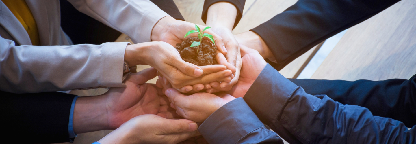 Hands holding a flower 