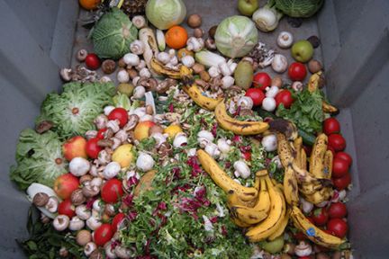 As that new food caddy lands, here’s how to reduce waste – not just recycle it