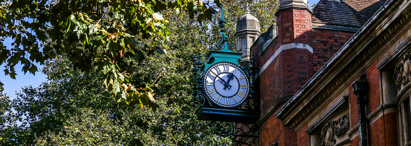 A leafy skyline with trees and the top of a townhall and its clock
