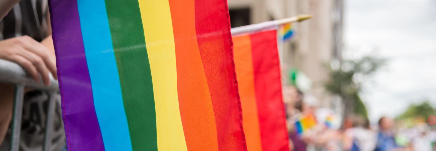 An image of two big rainbow flags and a set of hands standing against a metal rail at a Pride event. The background is blurry.
