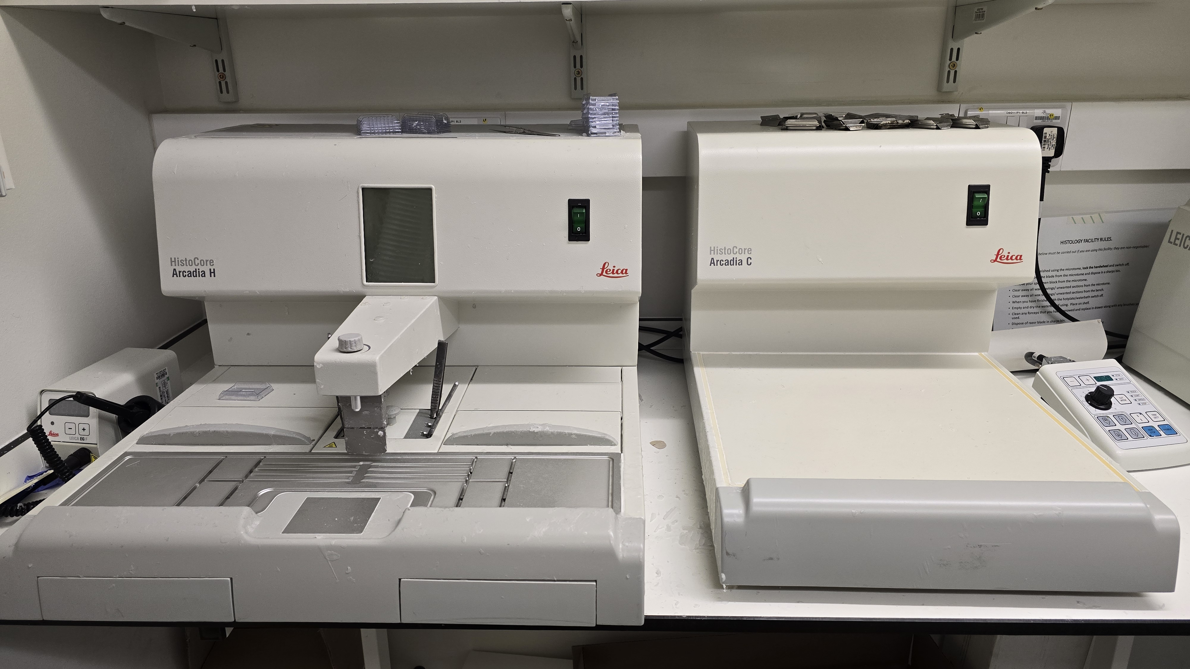 This setup provides users with the flexibility to orient their tissue samples in the optimal position, ensuring ideal block formation for downstream experiments.