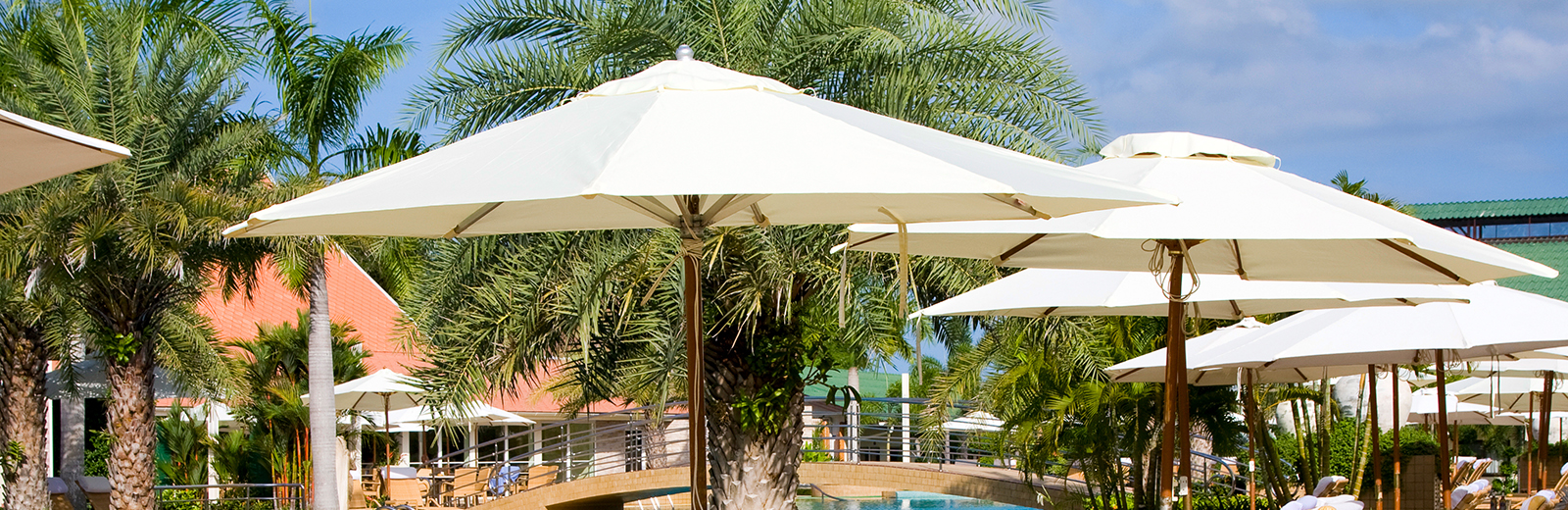Row of sun loungers by the pool of a hotel