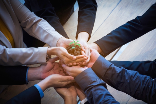 Many hands hold a plant