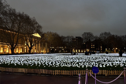 Students support families this Christmas at Royal Marsden Ever After Garden