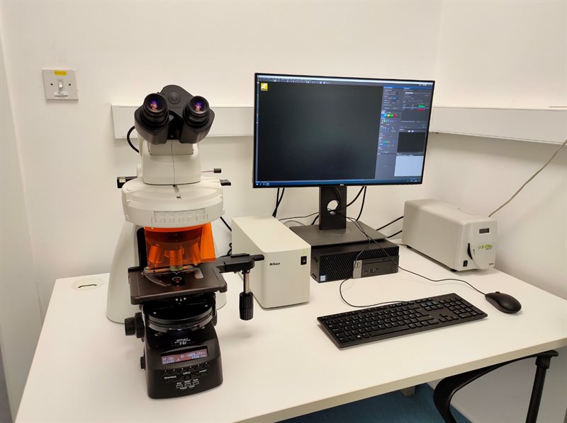 The Nikon NiE is a modern upright research widefield microscope equipped with a Nikon DS-Fi3 camera for both color and emulated monochrome imaging. This allows for high-resolution brightfield and fluorescent imaging.