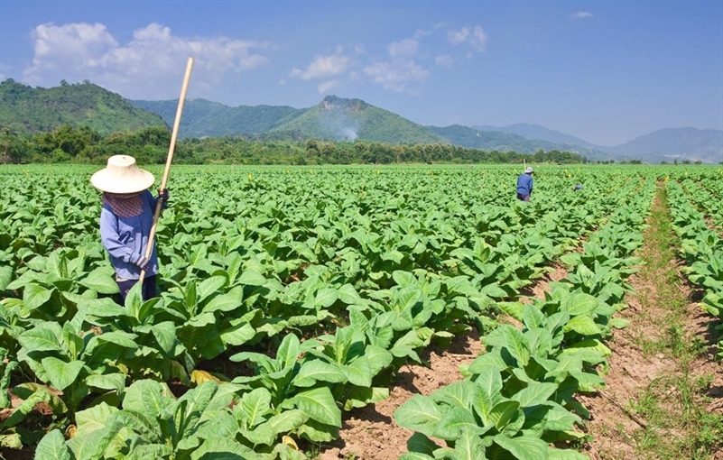 molecular farming in Europe