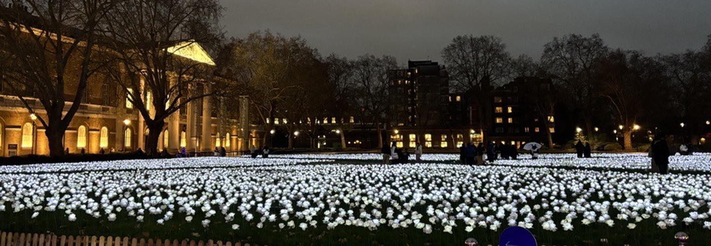 Illuminated roses