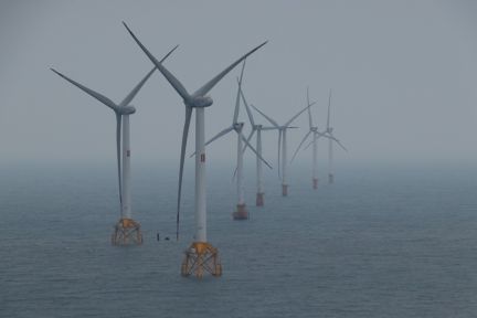 New research warns of risks of bias as AI shapes decision-making on offshore energy development
