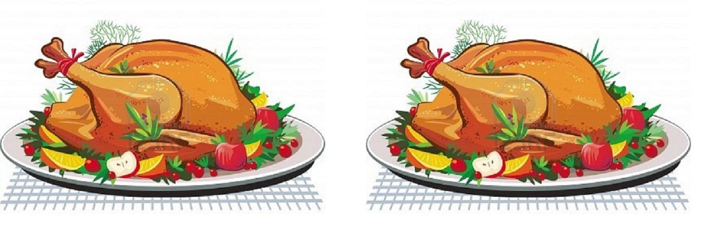 image of a christmas turkey