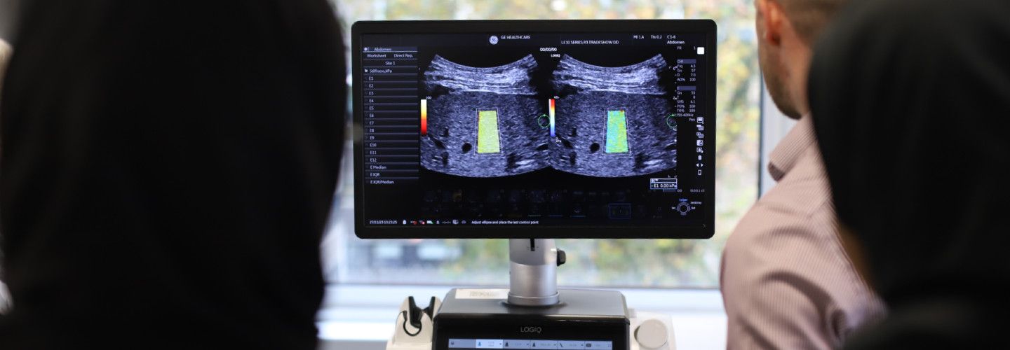 Ultrasound demonstration