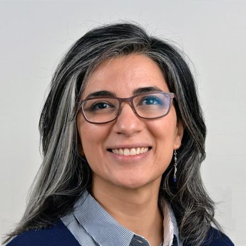 Photo of Professor Shabnam Beheshti