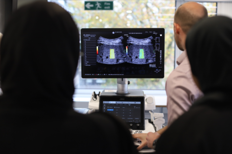 Ultrasound demonstration with students