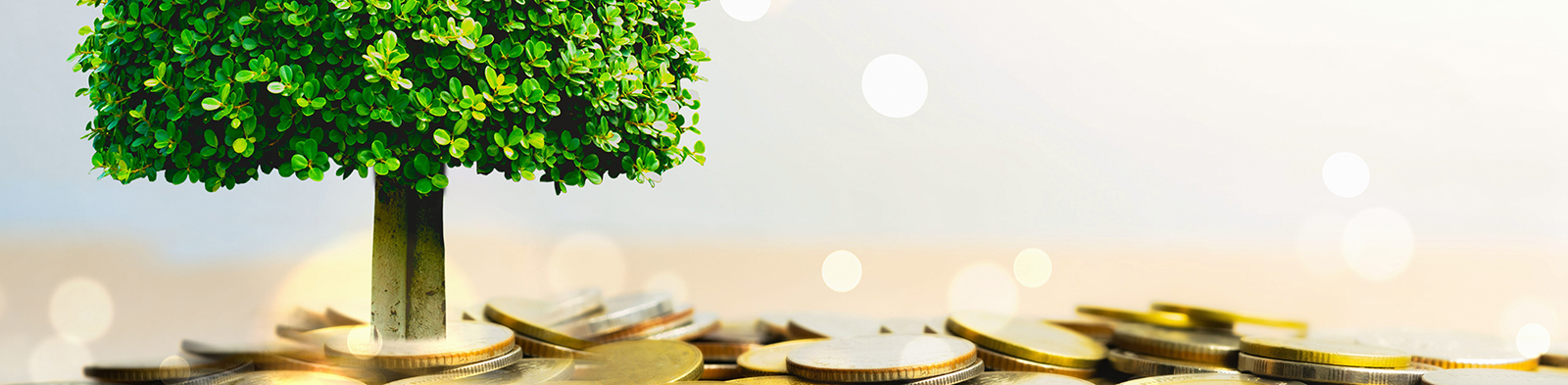 a tree growing in the middle of a pile of coins