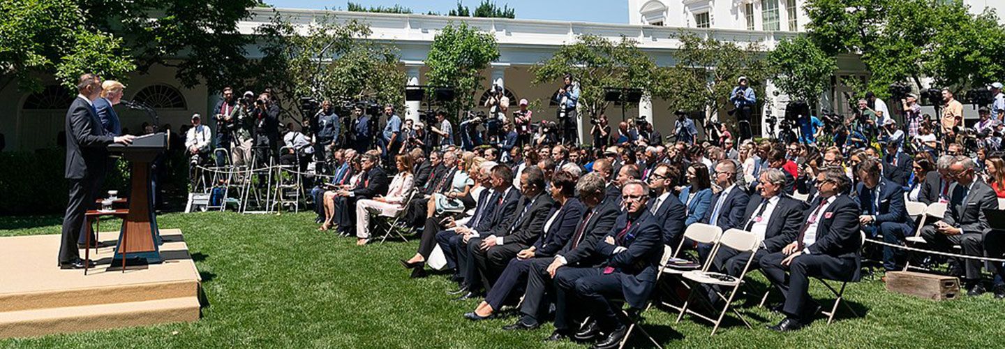 Trump stands at a lectern in the Rose Garden at the White House in Washington DC. He stands in front of rows of journalists. Some hold cameras. It's a bright sunny day and the grass is very green.