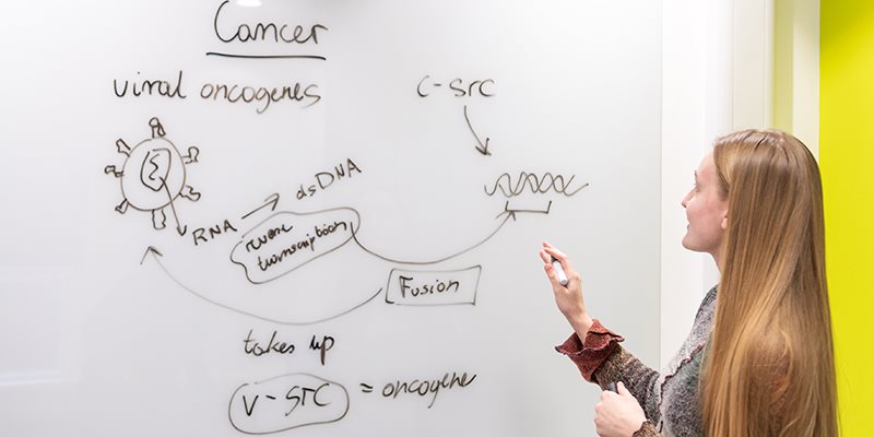 Students writing on whiteboard