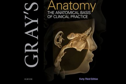 Three decades of City St George’s contributions to Gray’s Anatomy