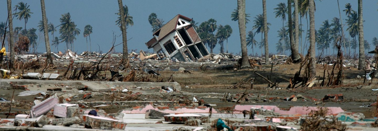 A semi-destroyed house tilts precariously in an empty space littered with rubble and windswept palm trees, against a murky blue sky.