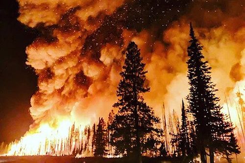 Insurance expert calls for enhanced disaster protection following WWA report into Los Angeles wildfires