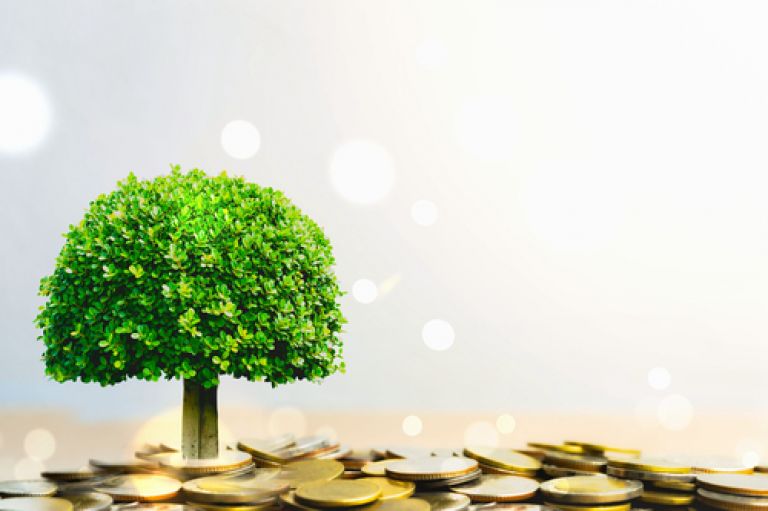A tree is sprouting from a pile of coins.