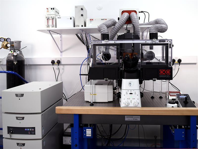 The Nikon A1R confocal microscope at the facility is an automated inverted system featuring a dual scanhead design, enabling both Galvano mode for high-resolution imaging and Resonant mode for high-speed acquisition. 