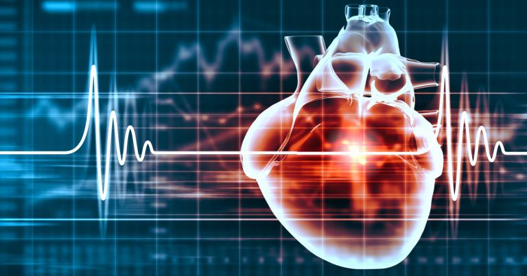 ECG stock image