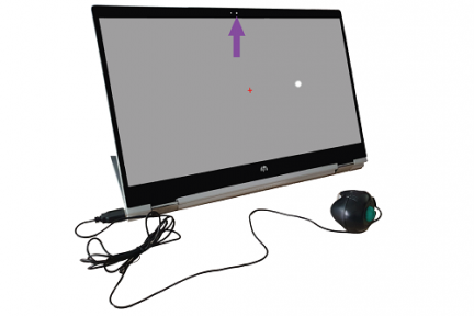 Monitoring eye disease at home