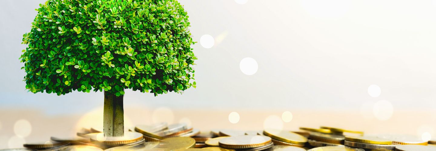 A tree is seen growing out of a pile of coins