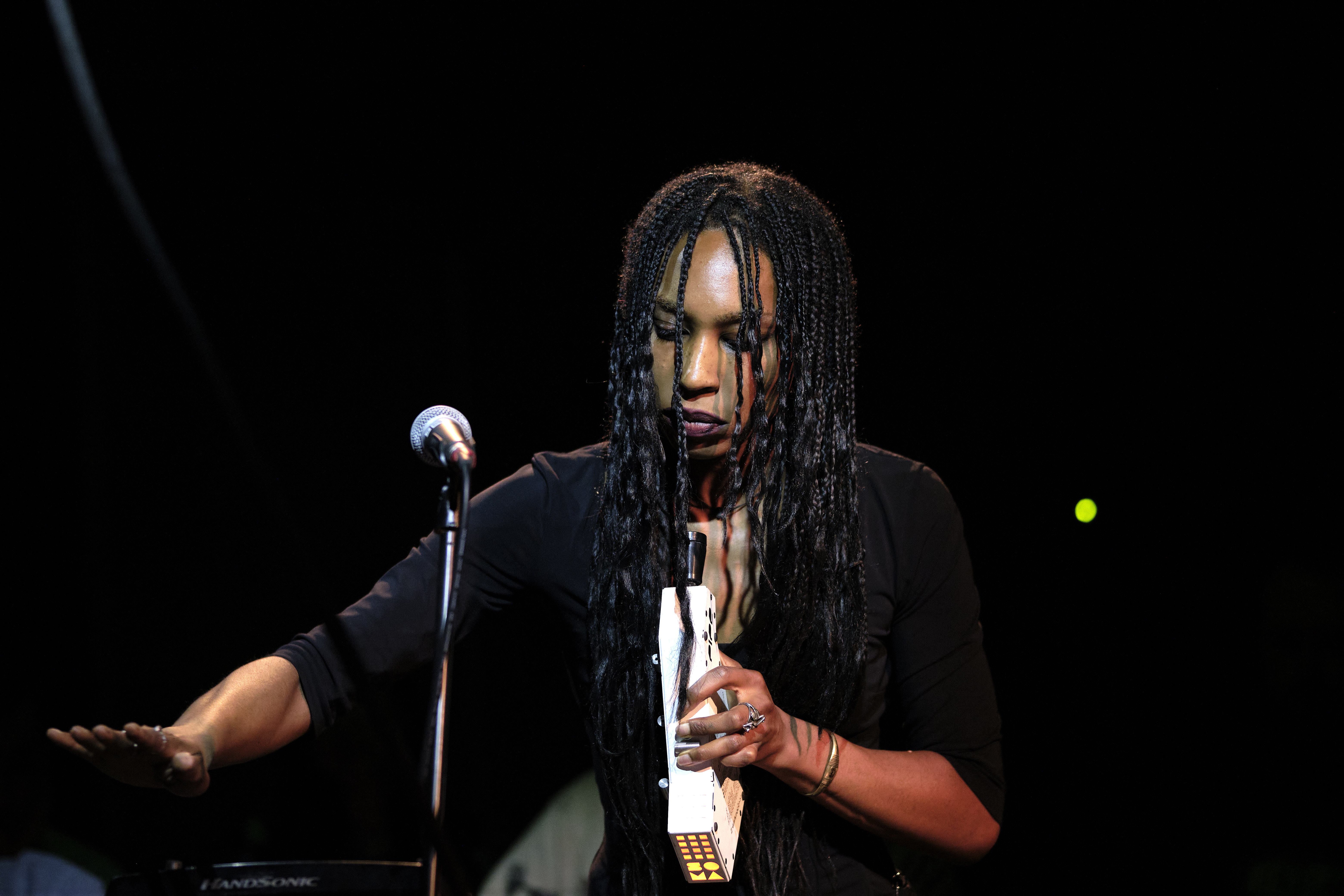 Young woman performing in front of a microphone, instrument in hand.