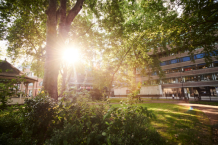 “Clearing doesn't have to mean that you're a failure. Mostly it just signifies a reallocation of interest”