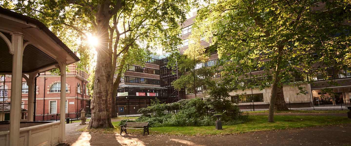 Northampton Square garden in the sun