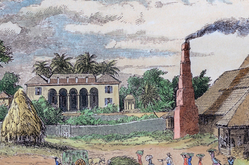 Sugar plantation in Cuba